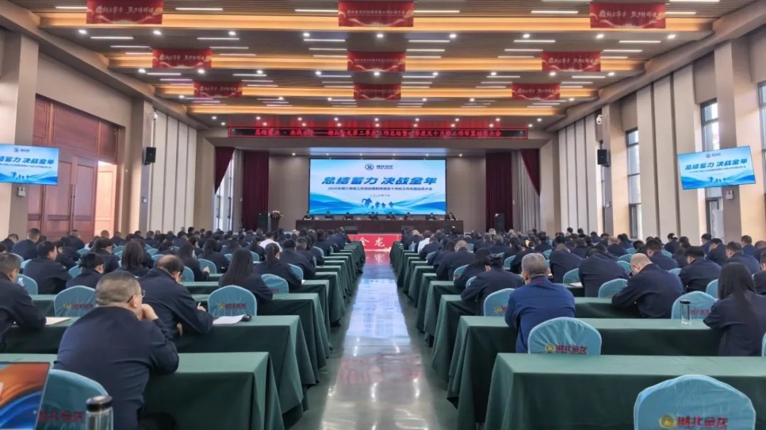 Hubei Jinlong New Materials Co., Ltd.